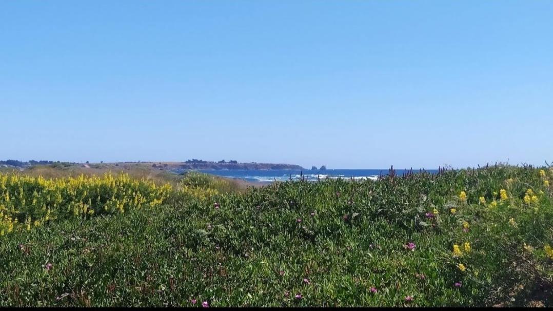 Saldemar Playa Hermosa Pichilemu Zewnętrze zdjęcie